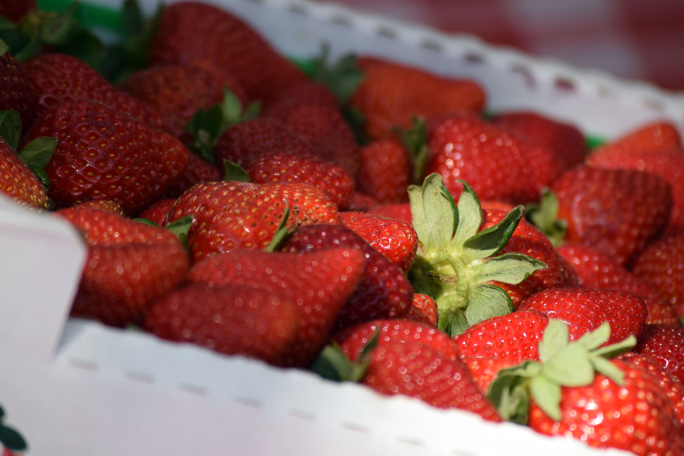 Lafayette Farmers' and Artisans Market photo 4