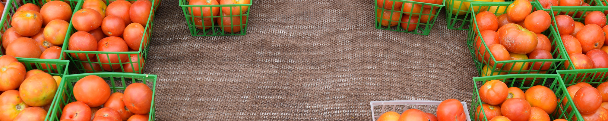 Lafayette Farmers' and Artisans Market photo 5